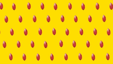 animación de múltiples hojas rojas de otoño sobre fondo amarillo