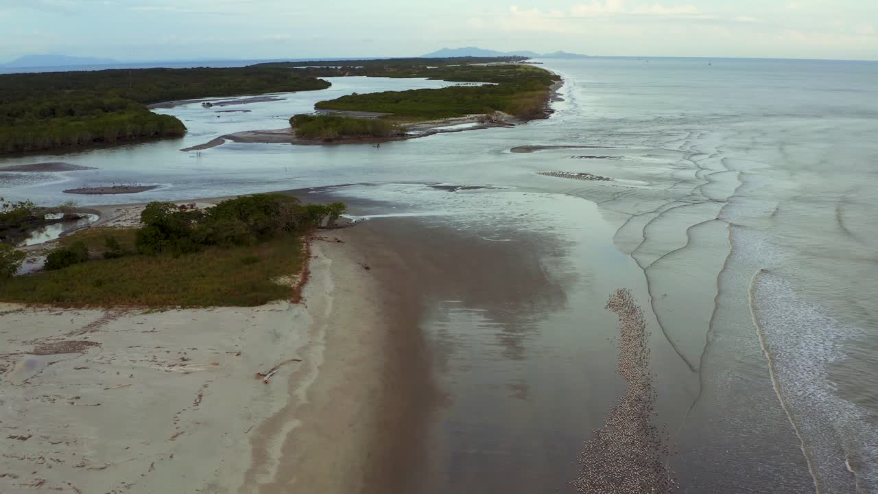 vista aérea sobre el desierto costero de la palmera arenosa de panamá avanzando a través de la isla larga