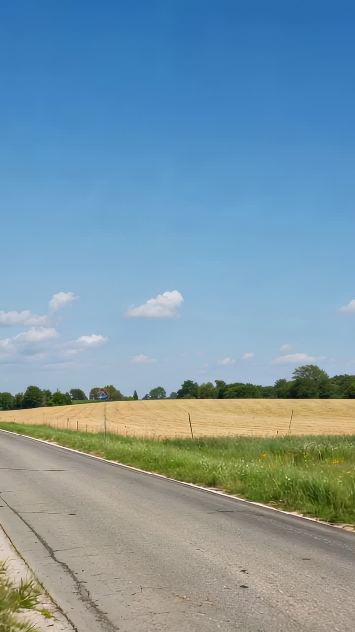 Vertical video: Driving vehicle bringing triangle warning sign closer on country road, golden field