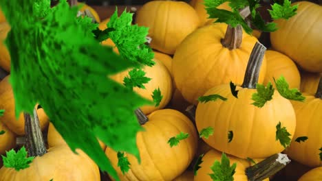 Animation-of-autumn-leaves-falling-over-pumpkin-patch