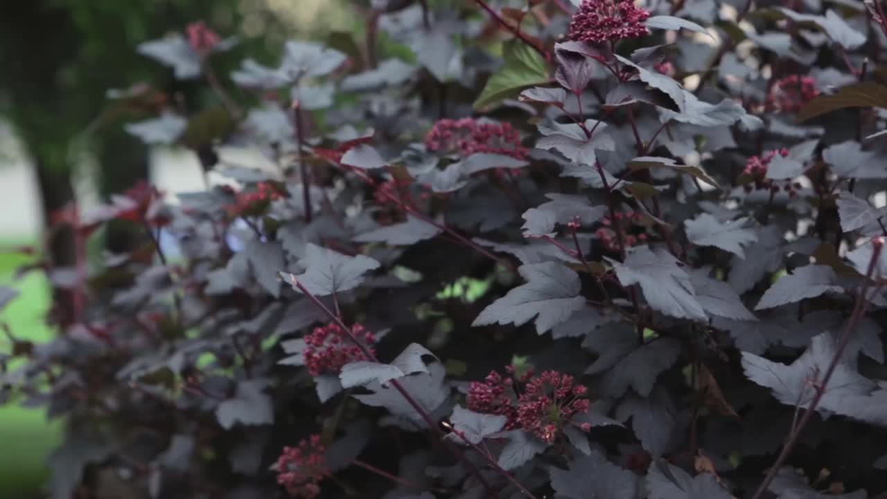 식물과 스이 있는 공원 놀이터