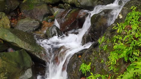 Eine-Endlose-Wasserschleife,-Die-Auf-Entspannende-Weise-über-Einige-Moosige-Felsen-Fließt,-Vage-ähnlich-Einem-Kleinen-Niagara-Fall