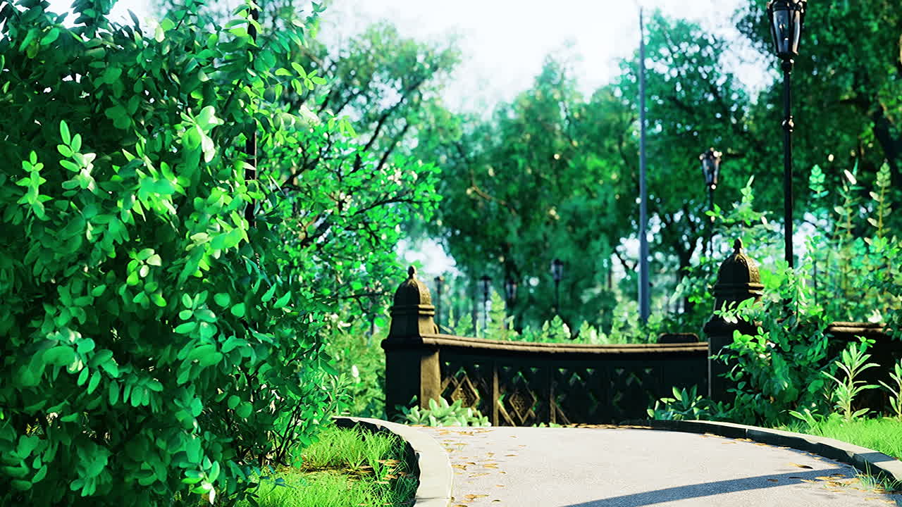 Serene pathway through lush greenery in a tranquil park setting