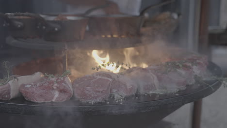 meat and fish baking in slowmotion on a plate barbeque log