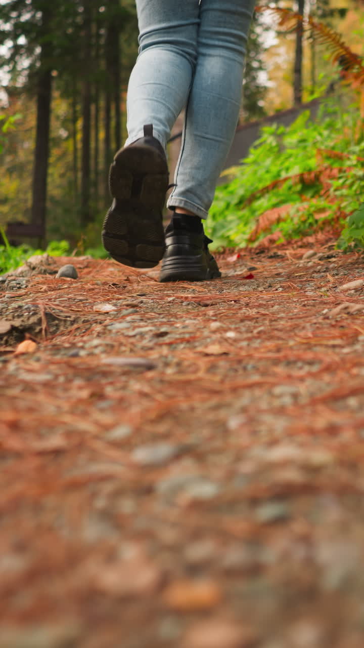 mujer caminando por un camino en el bosque. caminar en un clima soleado más allá de los árboles de coníferas en el territorio de glamping resort. calma y paz con la naturaleza