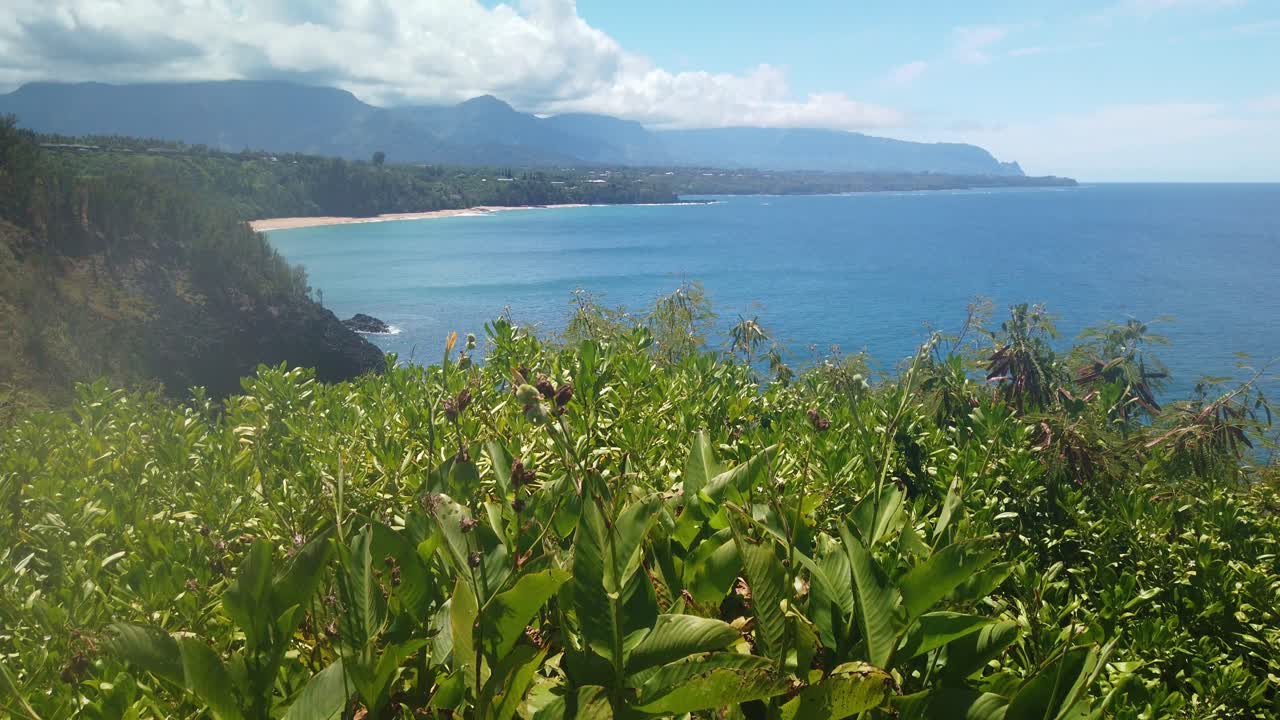 Gimbal wide booming up of the rugged northern coastline of Kaua'i from Kilauea Point in Hawai'i