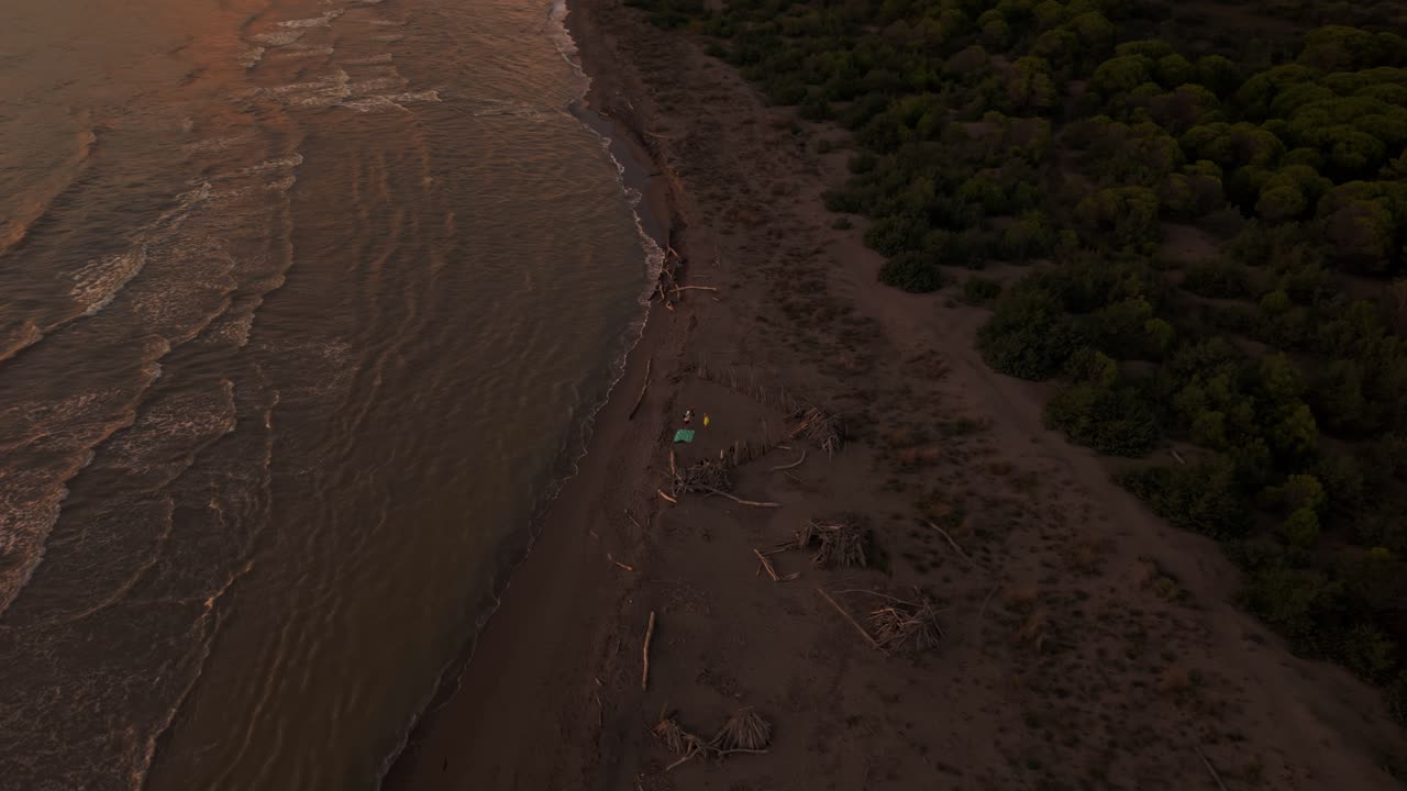 Colorful sunset over the sandy Maremma coastline with pine forest and calm seaside waves. Tuscany aerial