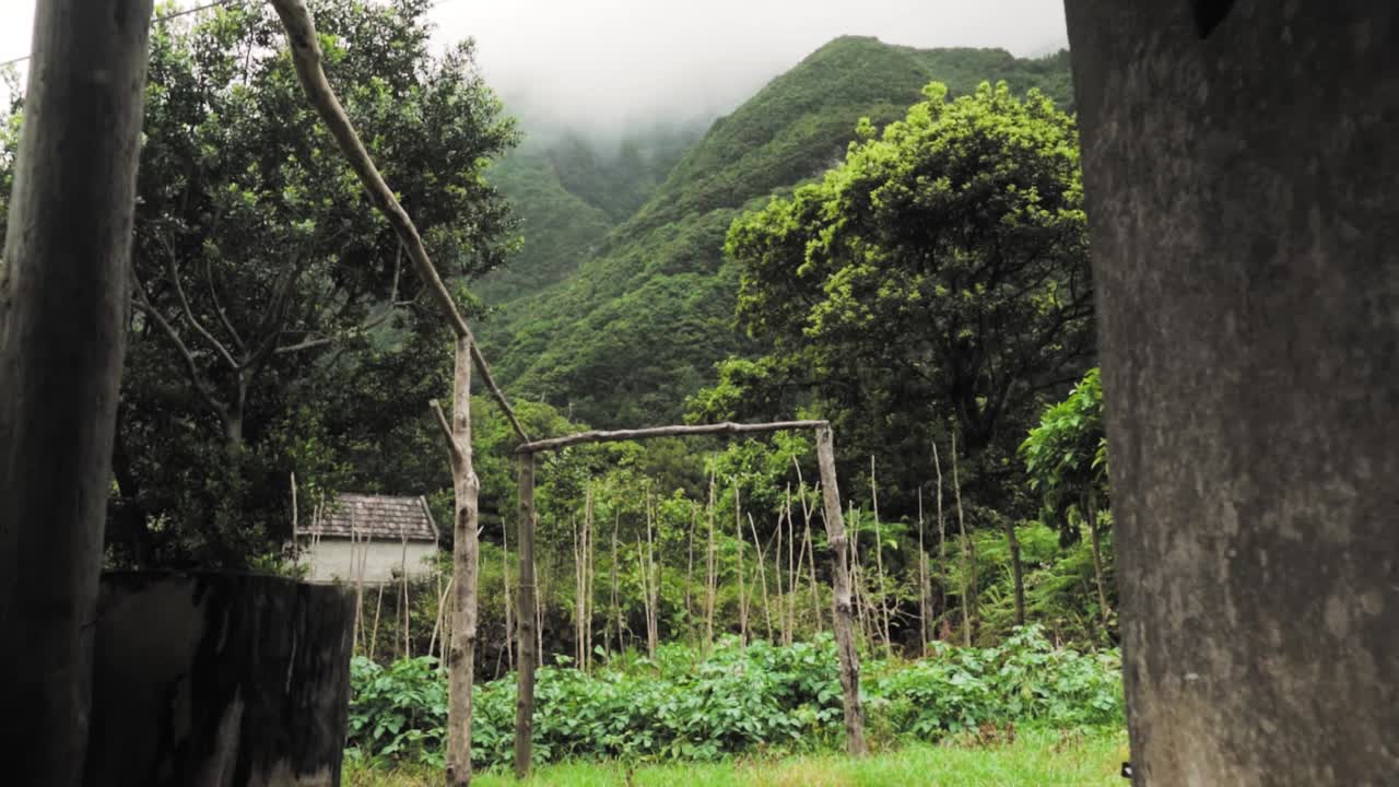 Tropical Garden in Mountains
