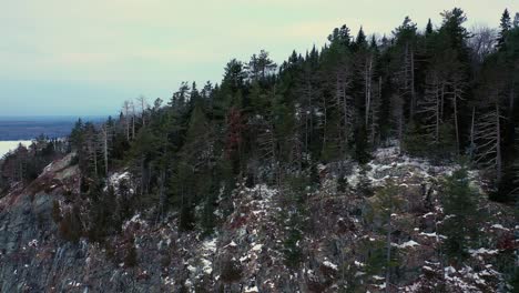 aerial orbit around the forest at the top of a steep rocky cliff in winter