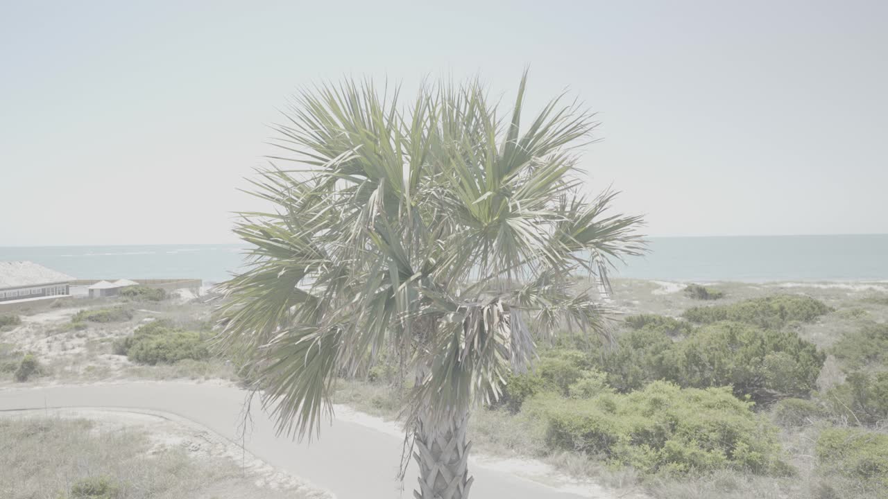 호텔 발코니에서 해변가의 목가적인 전망