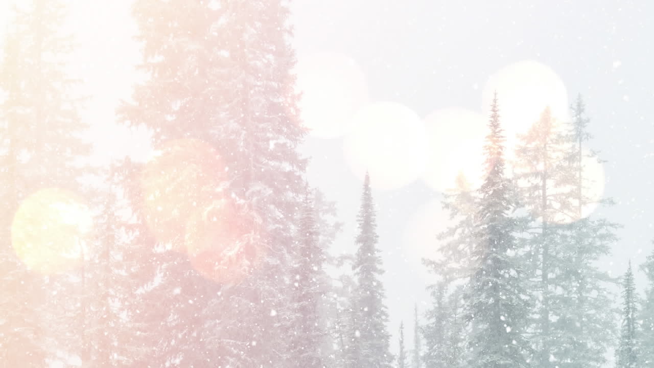 digital animation of spots of light against snow falling over trees on ...