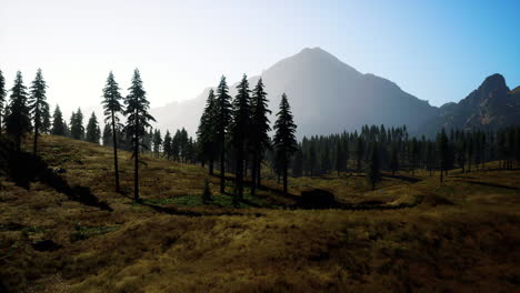 Landscape-view-of-the-mountain-range-with-trees-in-the-fall