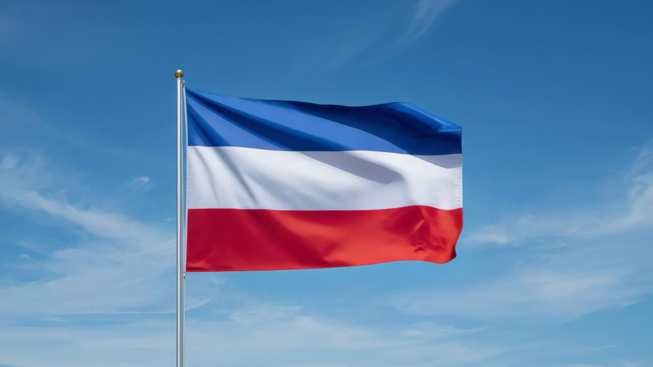 파란 하늘을 배경으로 바람에 흔들리는 발