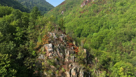 flying over hill covered with green forest in clear summer day