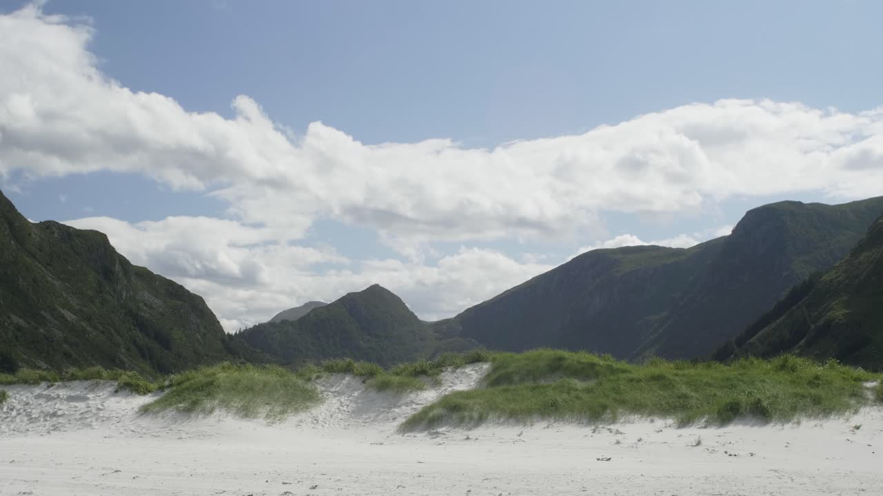 오른쪽에서 왼쪽으로 극단의 프로파일이 있는 넓은 프레임에서 키가 큰 풀을 타고 자전거 여행을 하는 자전거 타는 사람
