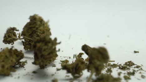 falling weed in slow motion