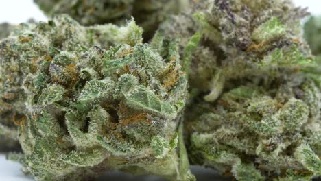 macro shot of dried cannibis marijuana bud