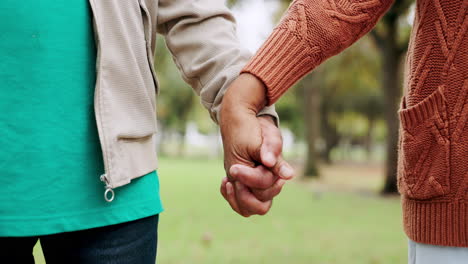 parque, el amor y la pareja de último año tomados de la mano