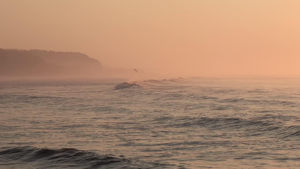 雀鳥在日落時飛過波浪在punta mango el salvador,手持的廣場拍攝
