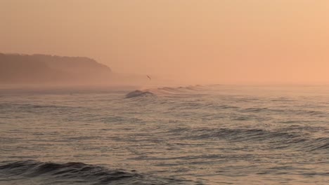 El-Pájaro-Vuela-Sobre-Las-Olas-Al-Atardecer-En-Punta-Mango-El-Salvador,-Tiro-Ancho-De-Mano