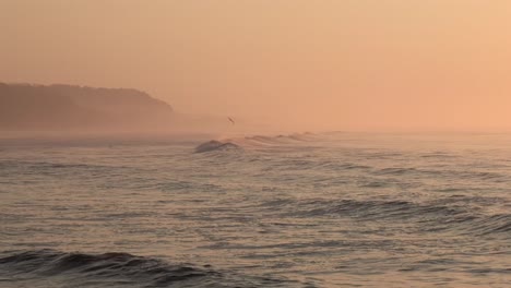 bird flies over the waves at sunset on punta mango el salvador, handheld wide shot