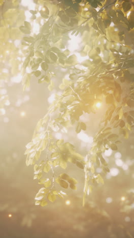 sunlight filtering through tree leaves