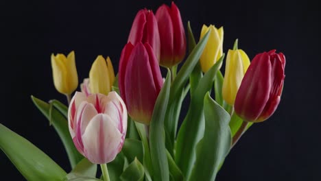 bouquet of colored tulips