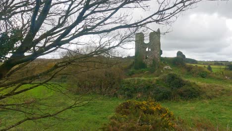 ruined castle from a distance with branches and bushes on a winter day in ireland,dunhill castle waterford