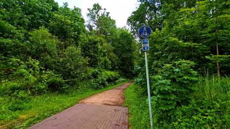 a view of bicycle track through dense vegetation on a cloudy day. static shot