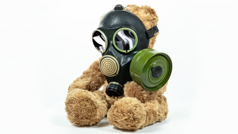 oso de peluche con máscara de gas