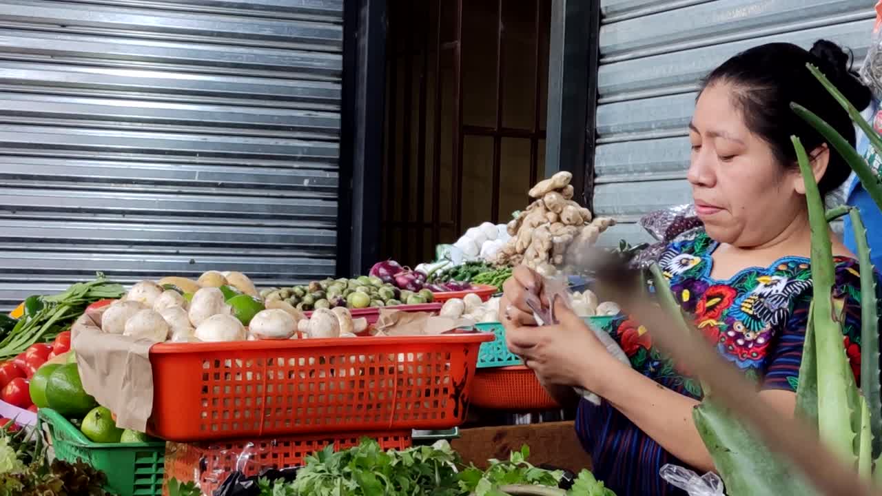 mujer nativa de guatemala contando dinero en el mercado
