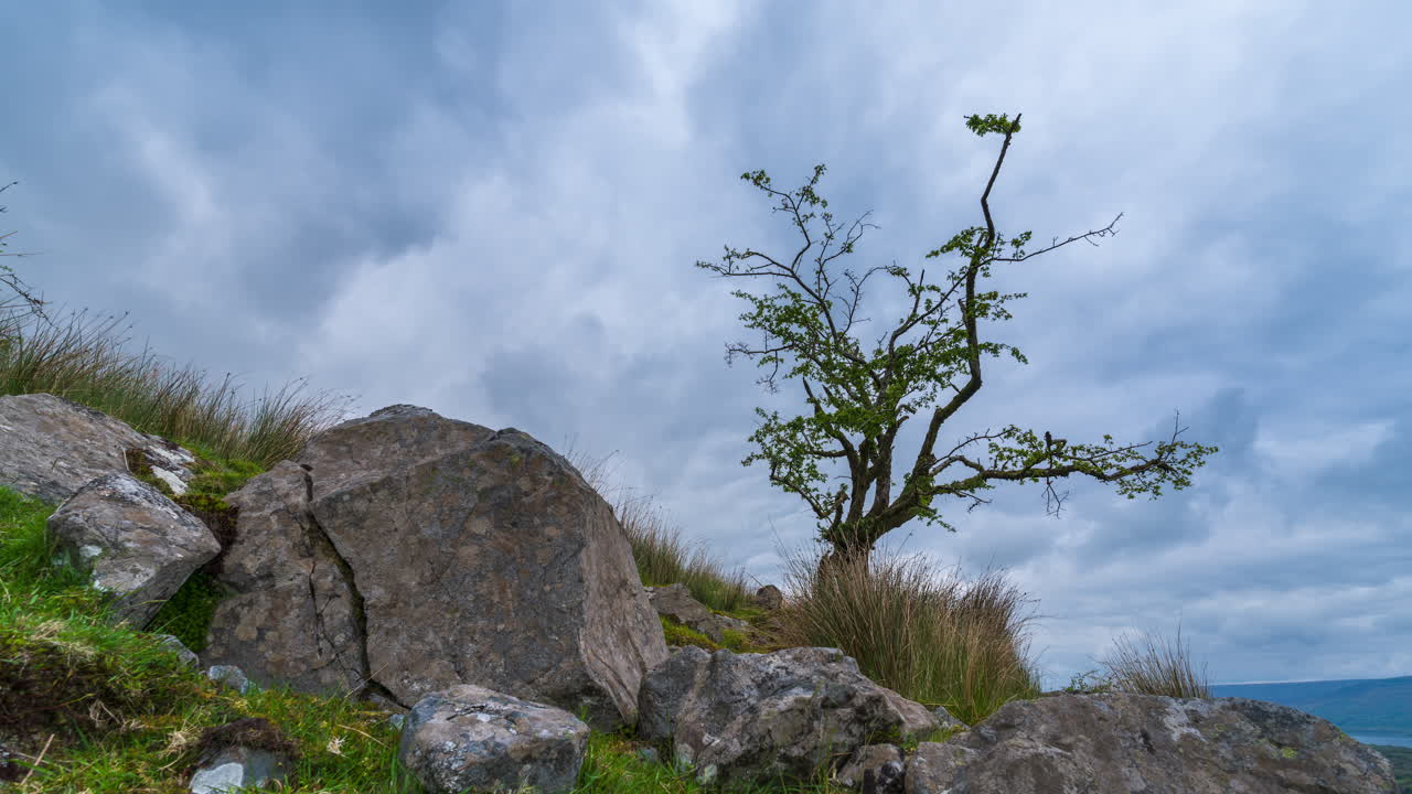 Time lapse of rural landscape with a single tree in rocky foreground and hills and lake in the distance during spring cloudy day in Arigna mountains in county Leitrim in Ireland