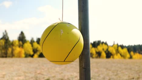 yellow tetherball suspended from stationary metal pole by a rope with autumn foliage in blurry background