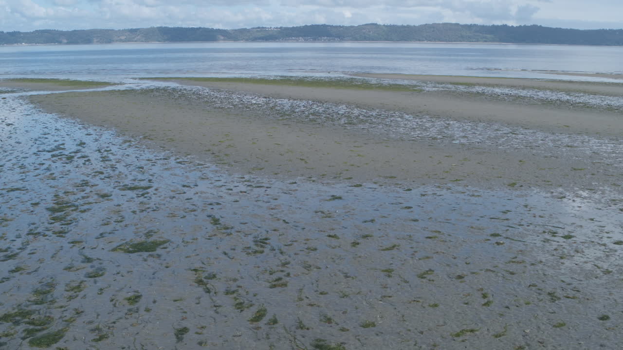 Fast aerial drone footage above the wet beach of Dumas Bay panning up to reveal the lake and mountains in the background.