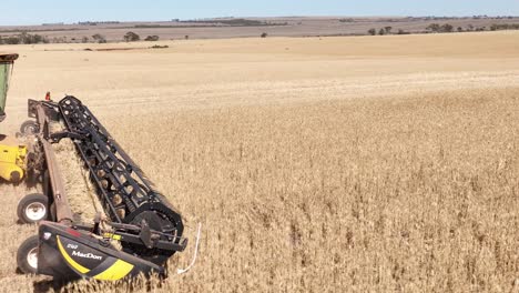 This-footage-captures-the-synergy-of-modern-agricultural-technology,-showcasing-the-essential-role-of-header-fronts-in-the-wheat-harvesting-process