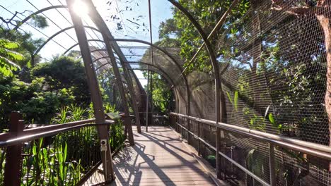 a serene walk through a bird enclosure