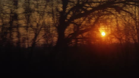 Blick-Aus-Dem-Fenster-Eines-Zuges-Oder-Autos-Durch-Die-Äste-Der-Bäume-Kann-Man-Die-Aufgehende-Sonne-Sehen