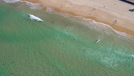 idyllic beach with turquoise water and fine sand - bondi beach with tourists and surfers enjoying in sydney, new south wales, australia - aerial drone shot