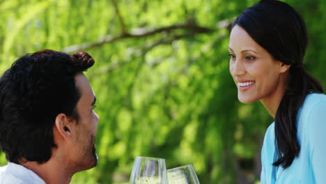 Paar-Stößt-Mit-Einem-Glas-Rotwein-Im-Park-An