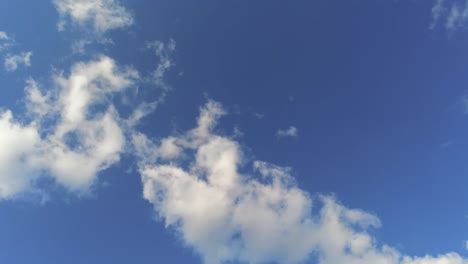 독일의 적운 구름과 푸른 하늘 회전 보기