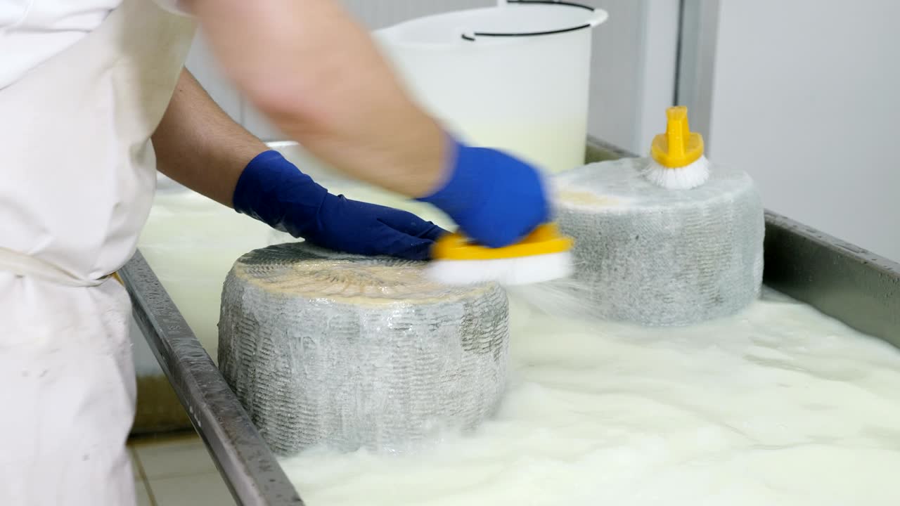 washing the cheese shapes - Diary Cheese Factory