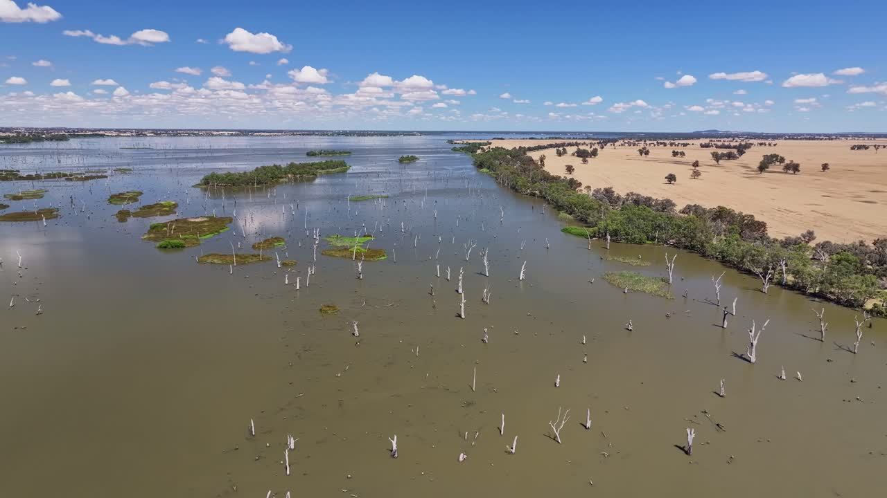 공중에서 농경지를 바라보며, 호주 nsw의 mulwala 호수의 섬을 드러내기 위해 주위를 흔들고 있습니다.