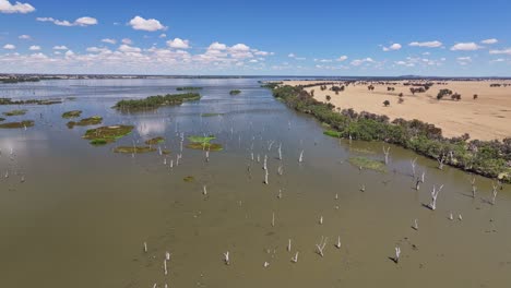 Vista-Aérea-De-Las-Tierras-De-Cultivo-Y-Balanceándose-Para-Revelar-Las-Islas-Del-Lago-Mulwala,-Nueva-Gales-Del-Sur,-Australia.