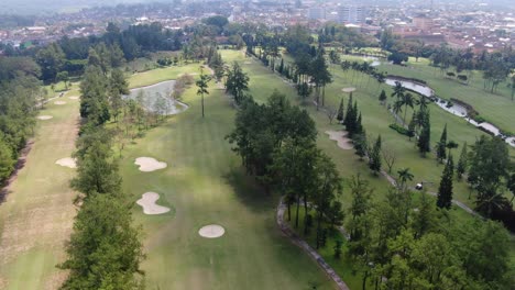 Palm-trees-growing-in-exotic-golf-course-near