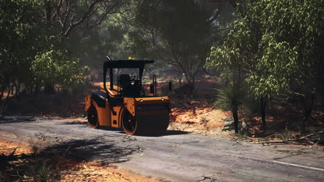 Tractor-De-Rodillos-De-Carretera-En-El-Bosque