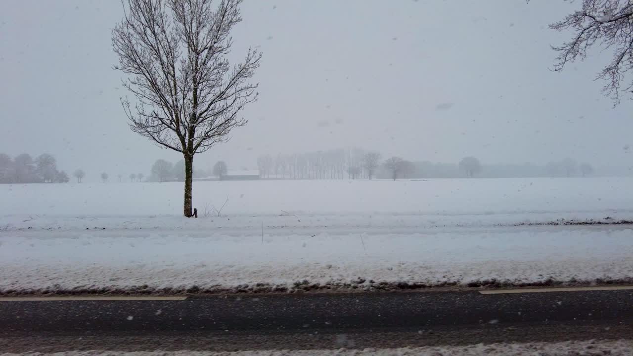 네덜란드 의 시골 도로  에 있는 평평 한 초원 들 에 많은 눈 이 내린다