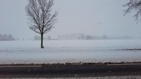 heavy snow on flat meadow fields next to country road in the netherlands