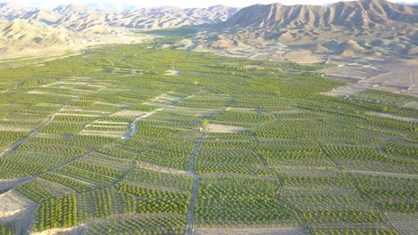 Flying-above-the-farms-in-the-spring