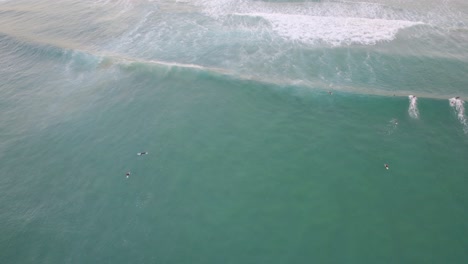 Playa-De-Sol-Con-Surfistas-Flotando-En-El-Agua-En-Queensland,-Australia---Toma-Aérea-De-Drones