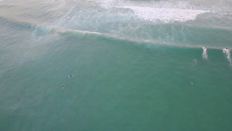 playa soleada con surfistas flotando en el agua en queensland, australia - toma aérea de un dron